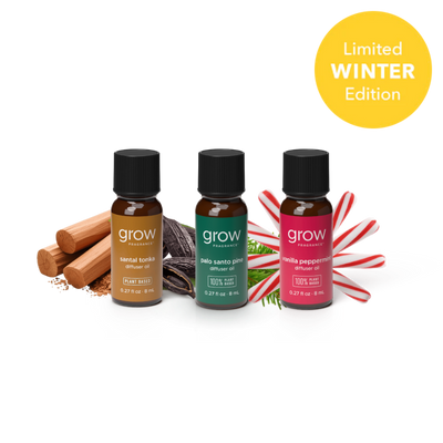 Diffuser Oil Holiday Set