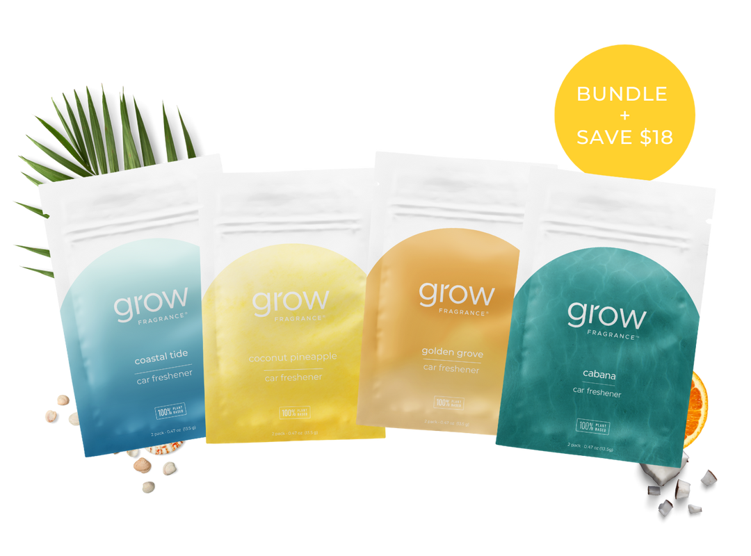 Summer Car Freshener Bundle