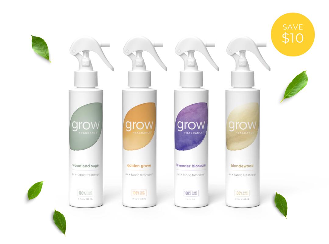 Bestsellers Spray Pack