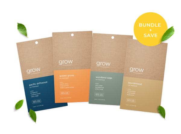 Bestsellers Car Freshener Pack