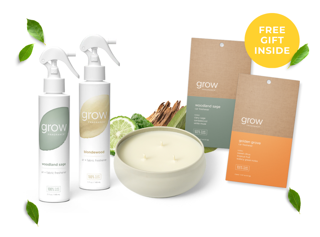 Grow starter kit with free gift. Two spray bottles, 3 wick candle, and car fresheners packaging with 'grow' branding on a white background.