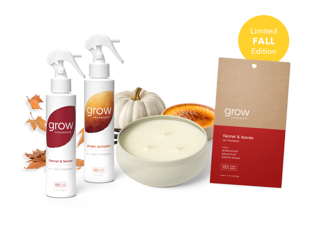 Grow fragrance products with pumpkins and 3 wick candle on a white background