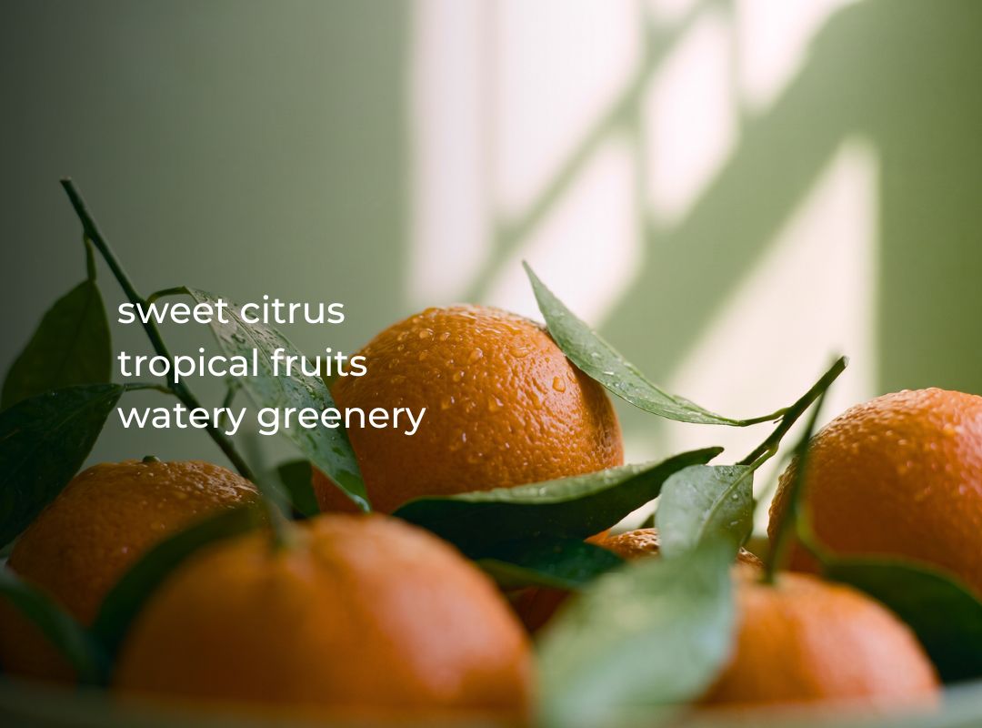 Close-up of several orange citrus fruits with green leaves, photographed in soft natural light with text overlay reading 'sweet citrus tropical fruits watery greenery'. (featured)