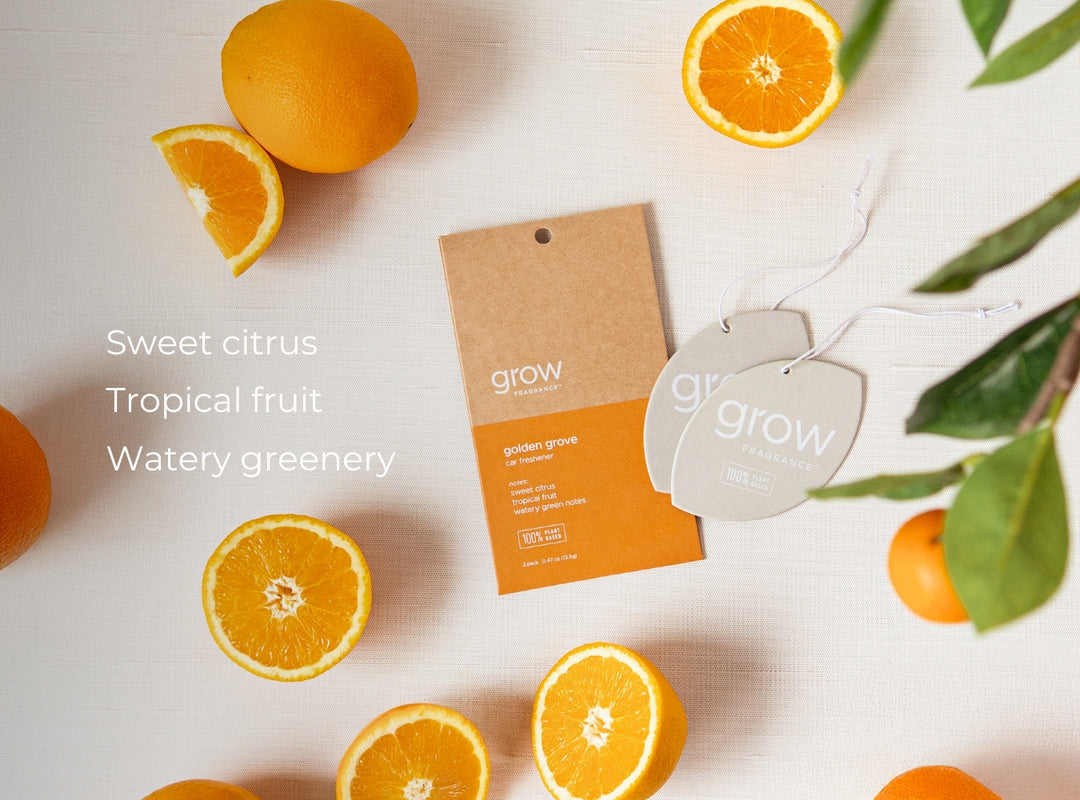 Orange slices and a Golden Grove Car Freshener packaging on a white background with text describing scent notes: sweet citrus, tropical fruit, watery greenery
