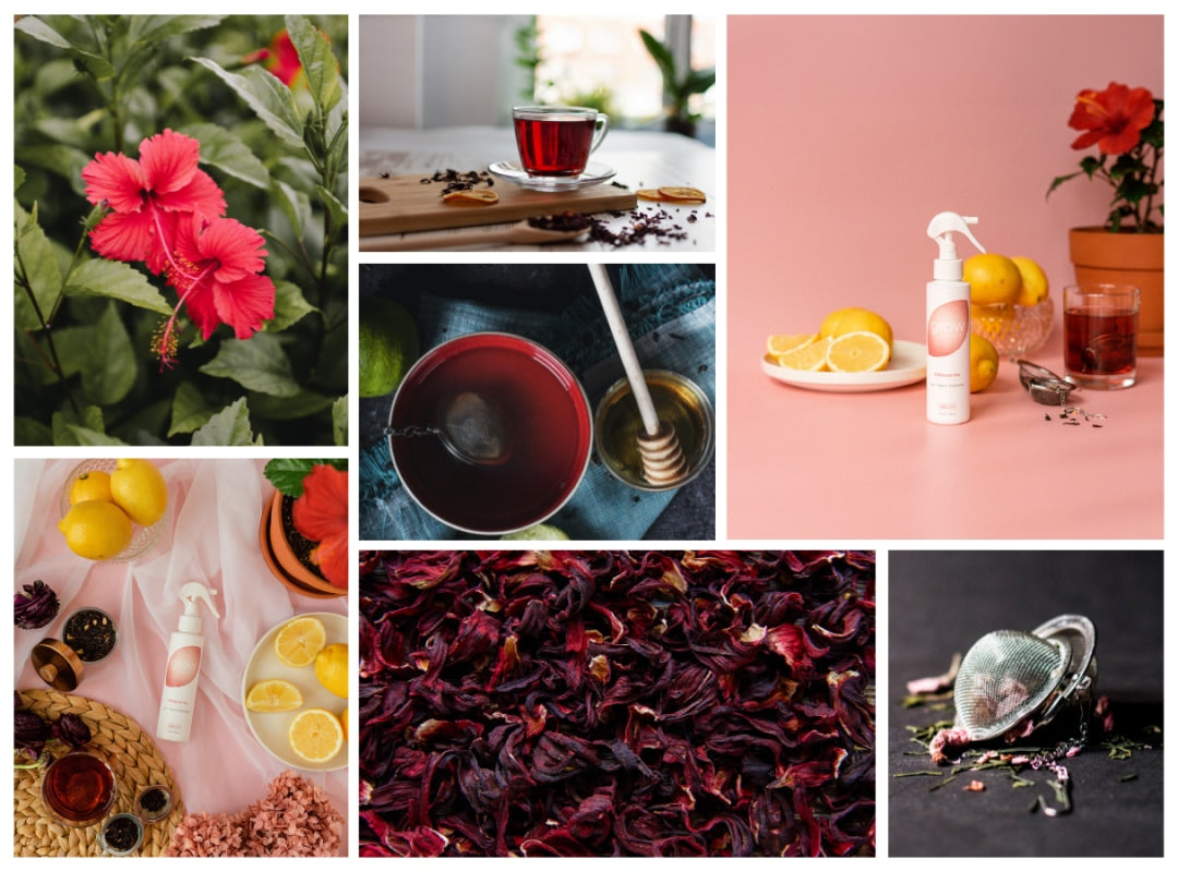 Hibiscus Tea Air + Fabric Spray mood board with tea imagery and hibiscus flowers (featured)
