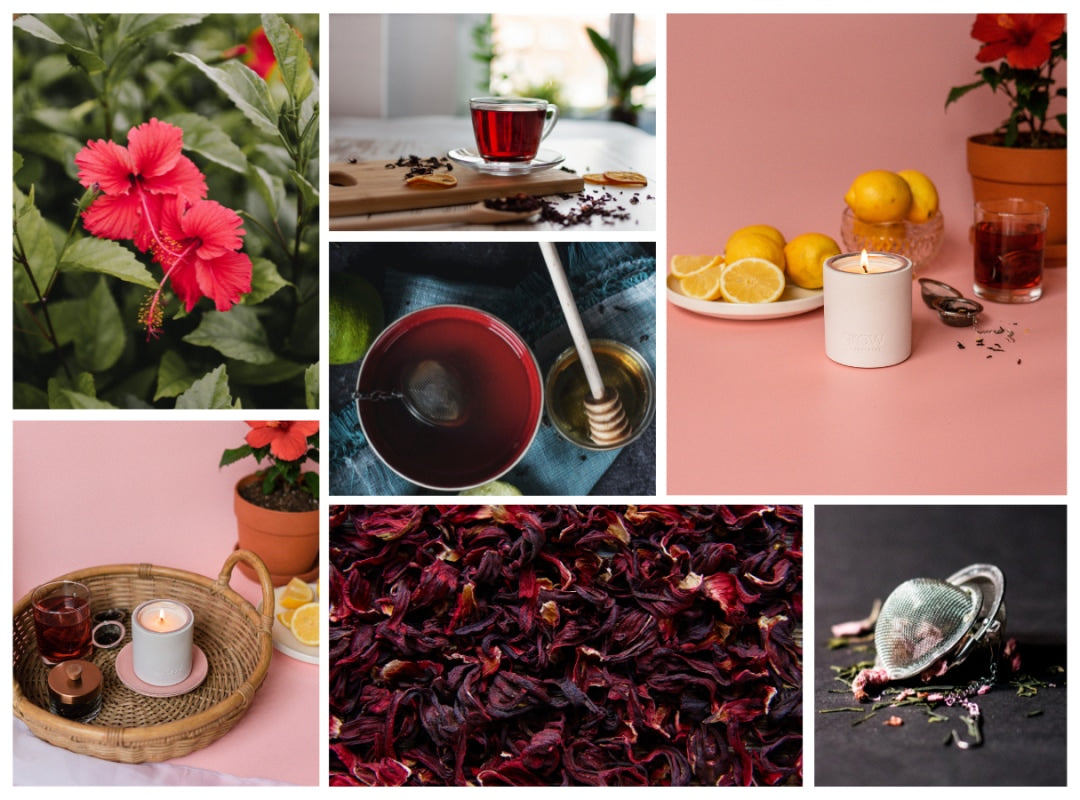 Hibiscus Tea Candle mood board with tea imagery and hibiscus flowers (featured)