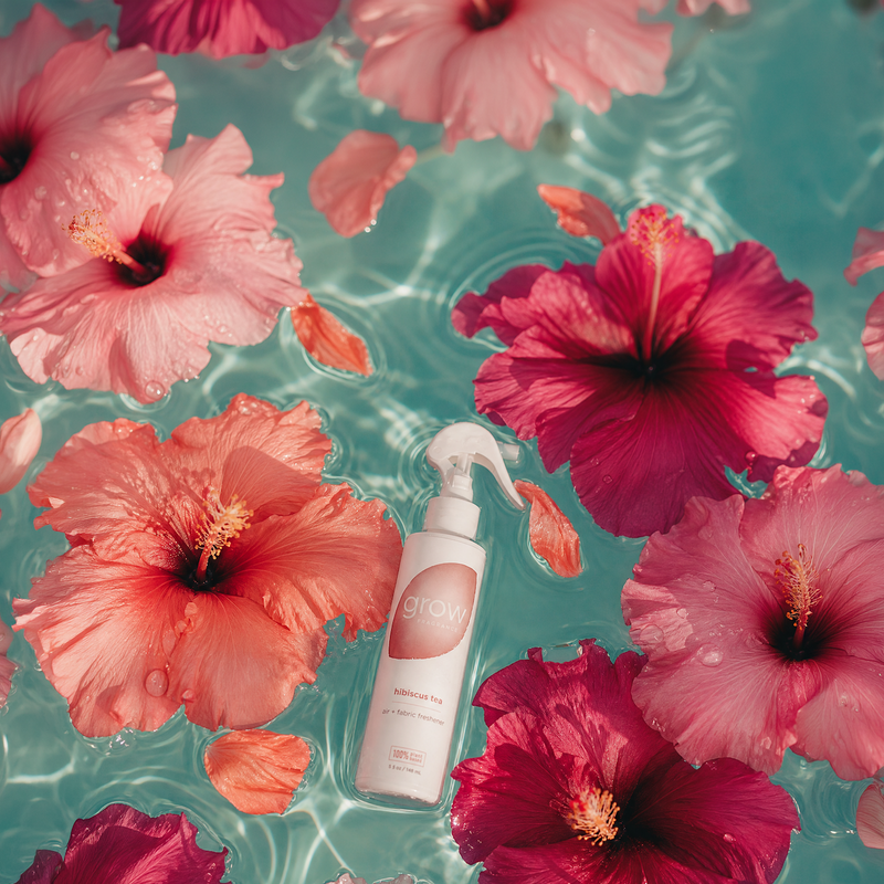 Beautiful scents that elevate your daily routines