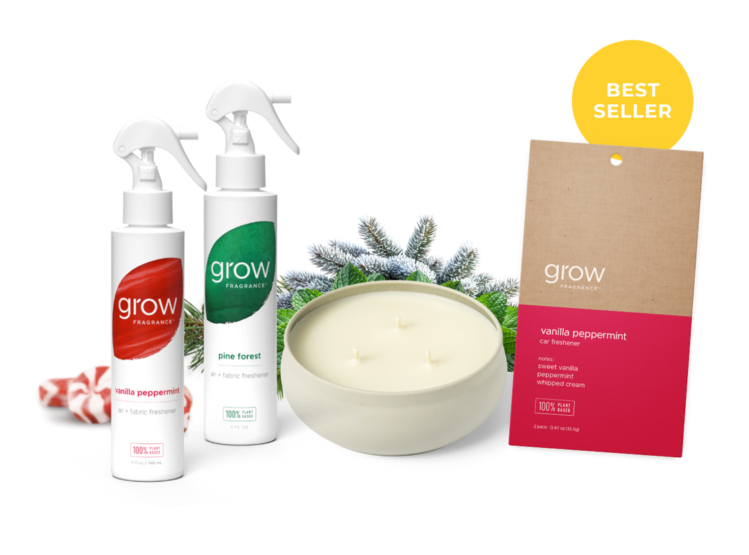 Non-Toxic Holiday Kit