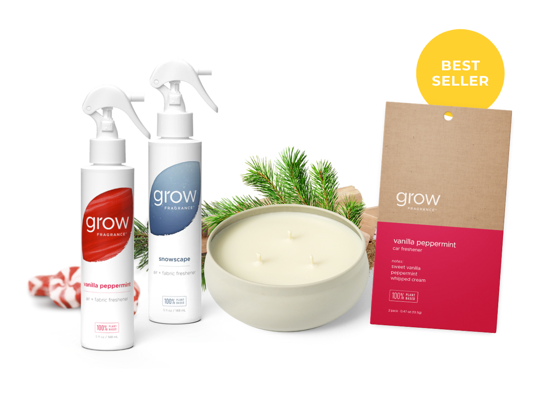 Non-Toxic Winter Kit