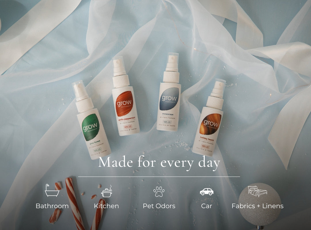 Holiday Discovery Set (featured)