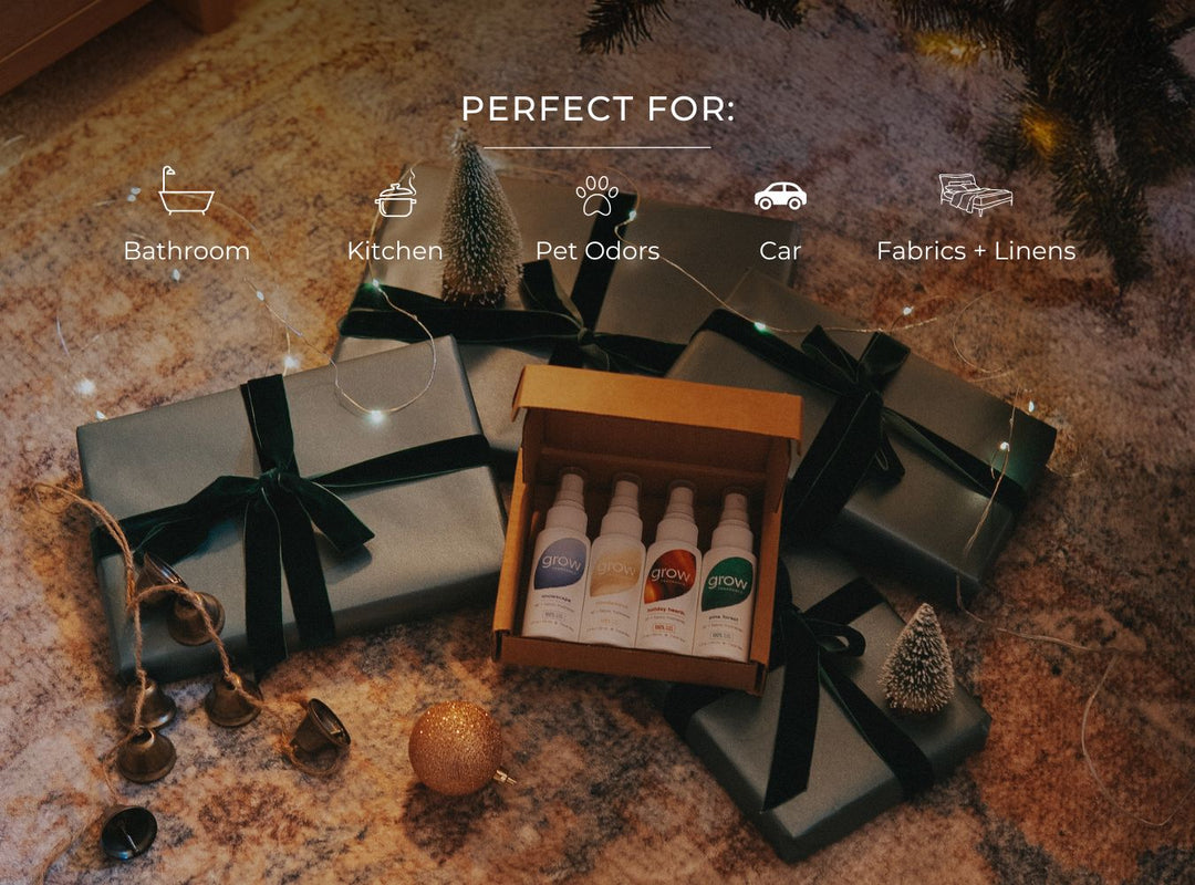 Holiday Discovery Set (featured)