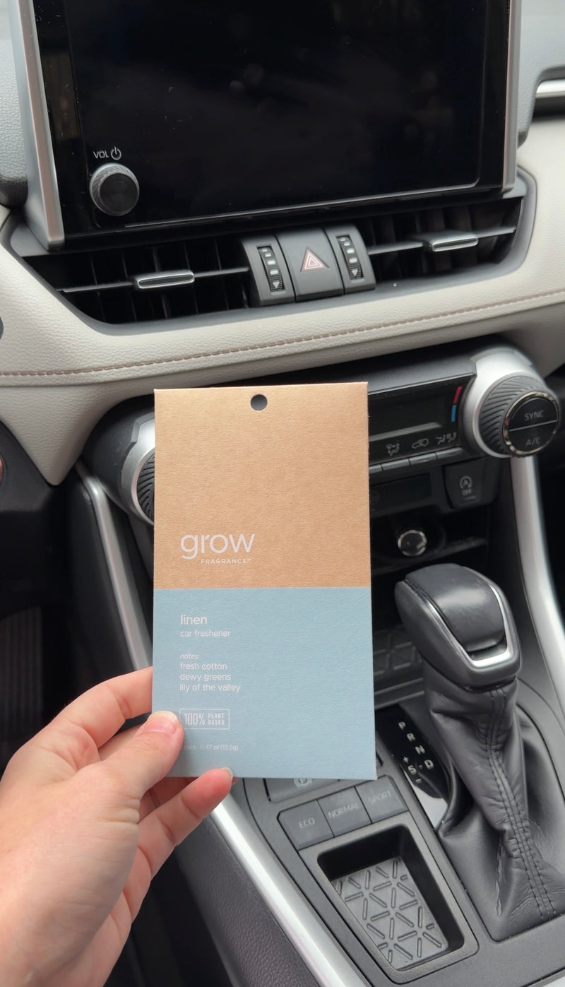 Person holding a 'Grow' car freshener product packaging in a car's interior.