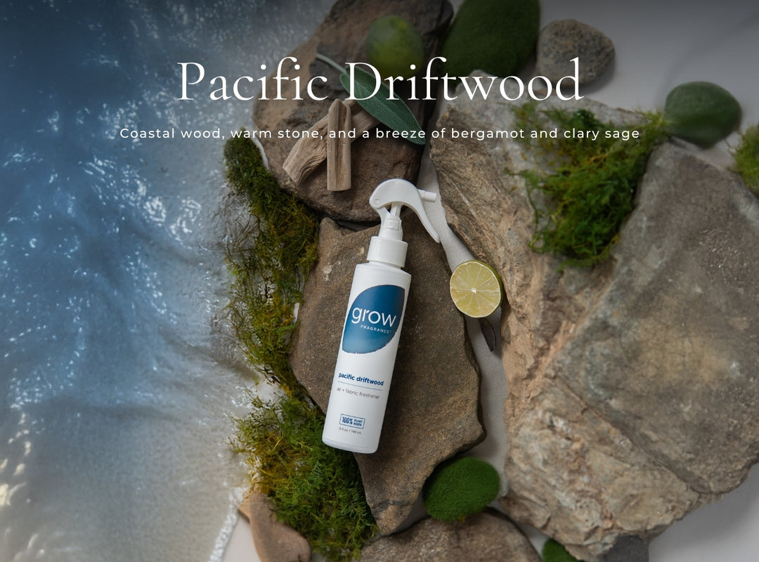 Bestsellers Spray Pack