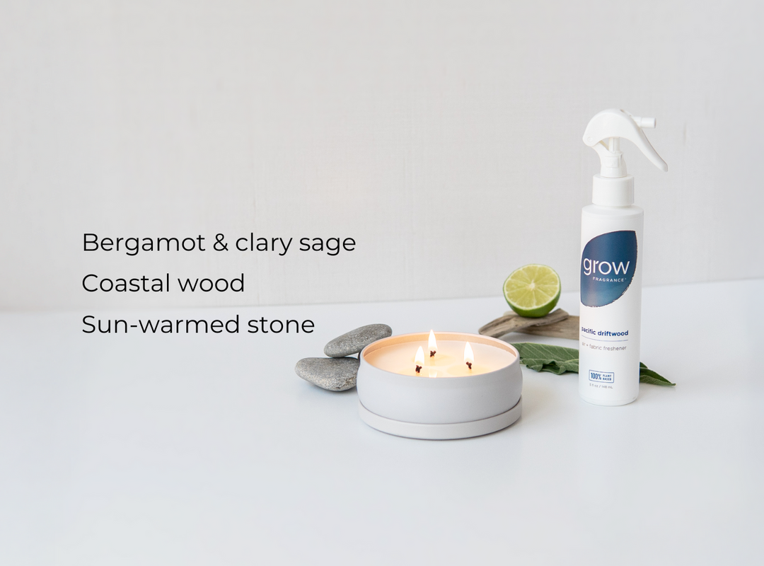 Pacific Driftwood Bundle