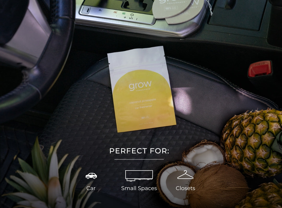 Coconut Pineapple Car Freshener (featured)