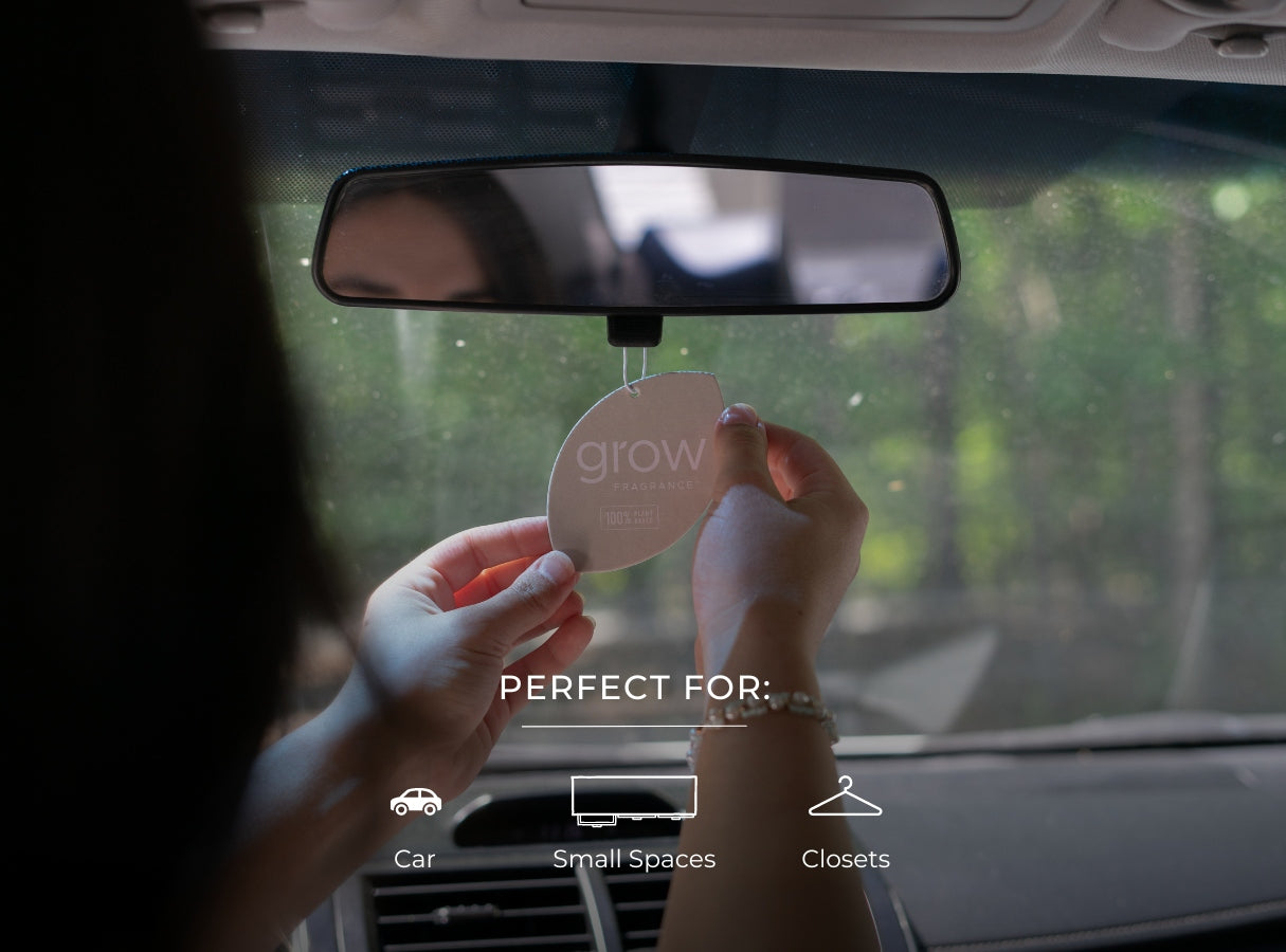 Pomelo Car Freshener (featured)