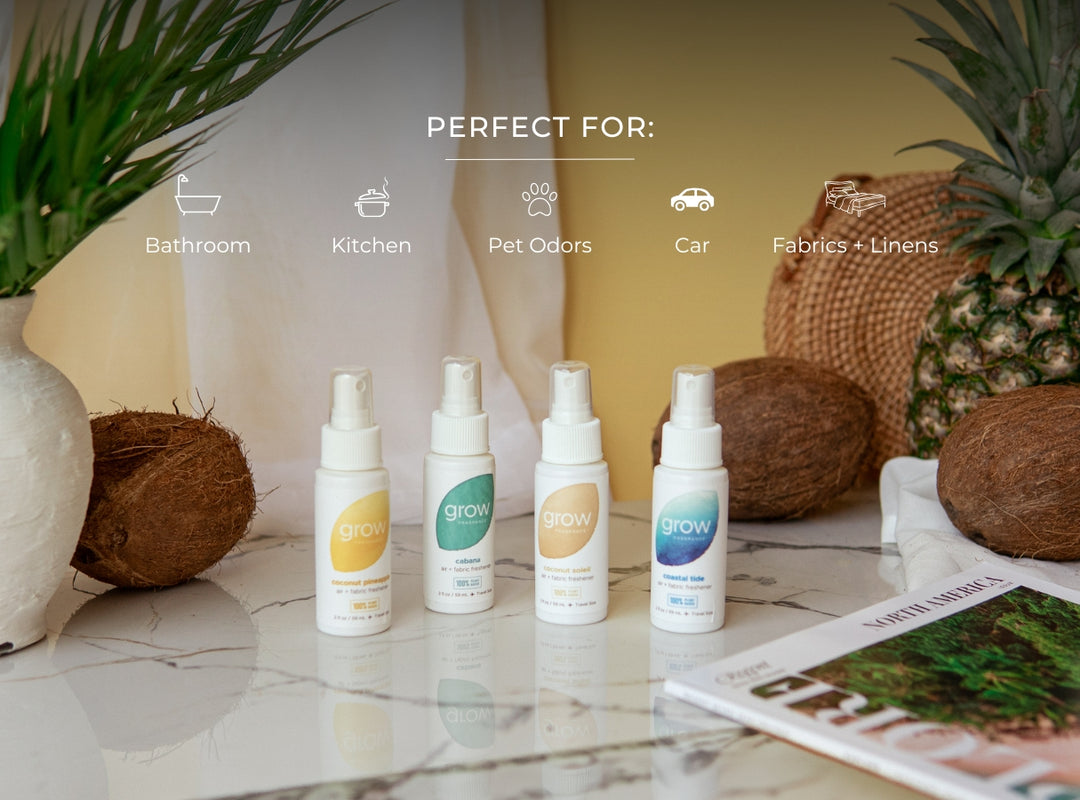 Photo of discovery set on marble surface with coconuts and pineapple. Perfect for bathrooms, kitchens , pet odors, car , fabrics, linens