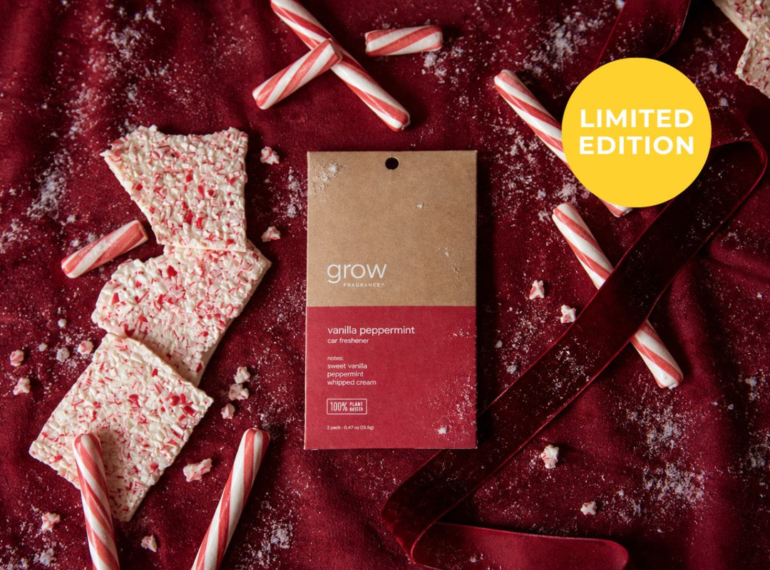 Candy canes and candy cane pieces with a 'grow' Vanilla Peppermint Car Freshener on a red background (featured)