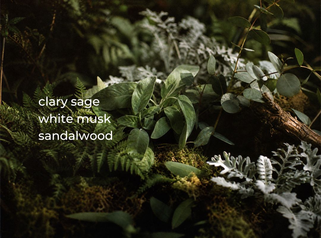 A dark, moody botanical scene with layered green and silver-green plants and moss, overlaid with white text reading 'clary sage white musk sandalwood'. (featured)