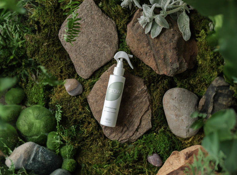 Woodland Sage Air + Fabric Spray on rock surrounded by rocks and moss and lush greenery (featured)