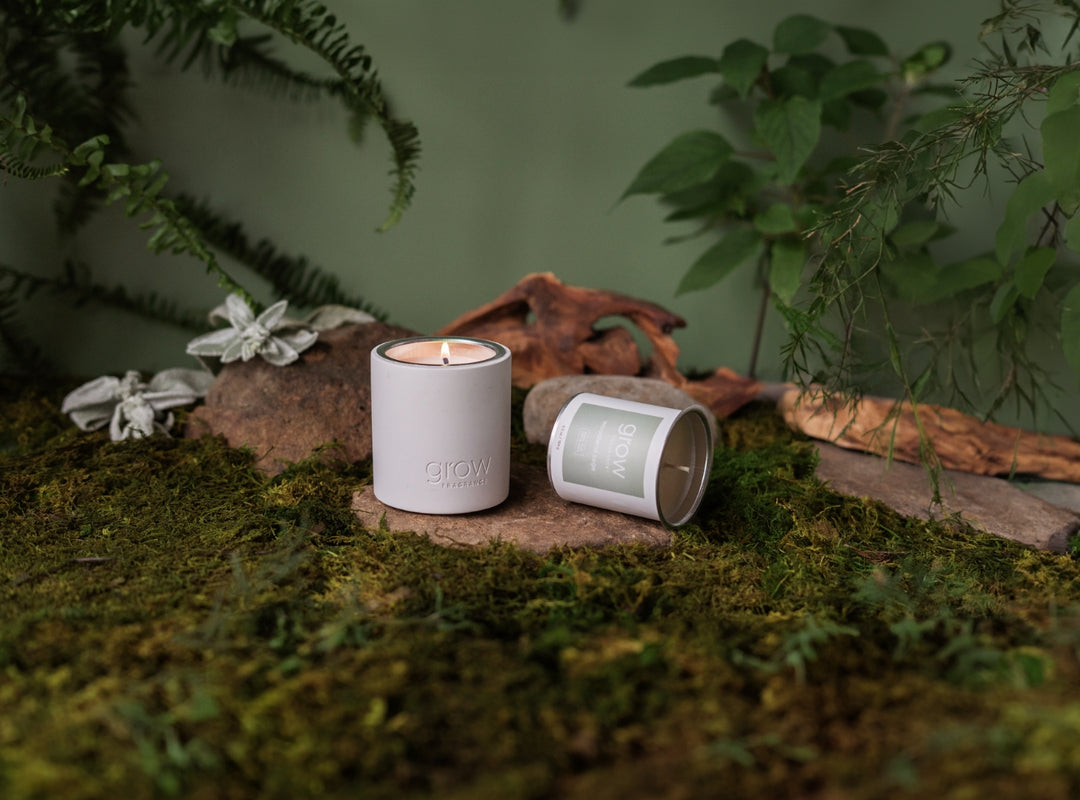 Woodland Sage Candle surrounded by moss greenery (featured)