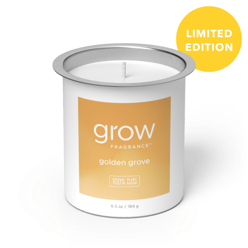 Golden Grove Candle Refill