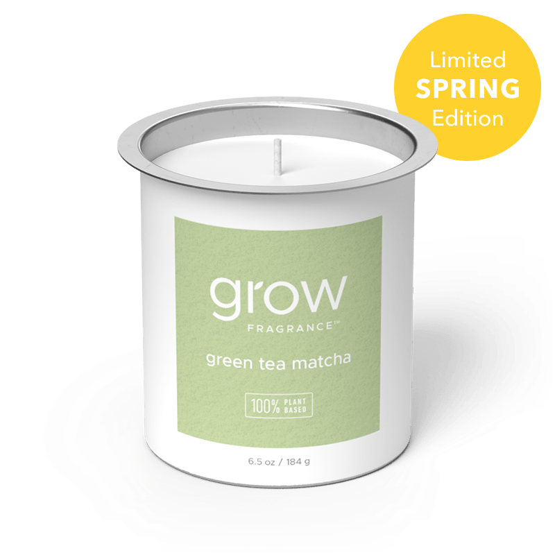 Green Tea Matcha Candle Refill (featured)