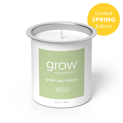 Green Tea Matcha Candle Fragrance