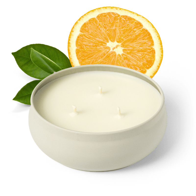 Golden Grove 3-Wick Candle