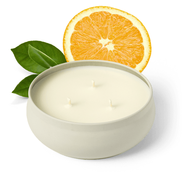 Golden Grove 3-Wick Candle – Grow Fragrance