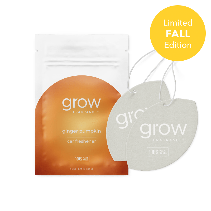Ginger Pumpkin Non-Toxic Car Freshener
