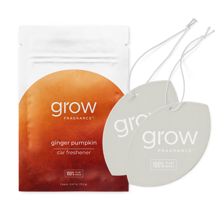 Ginger Pumpkin Car Freshener