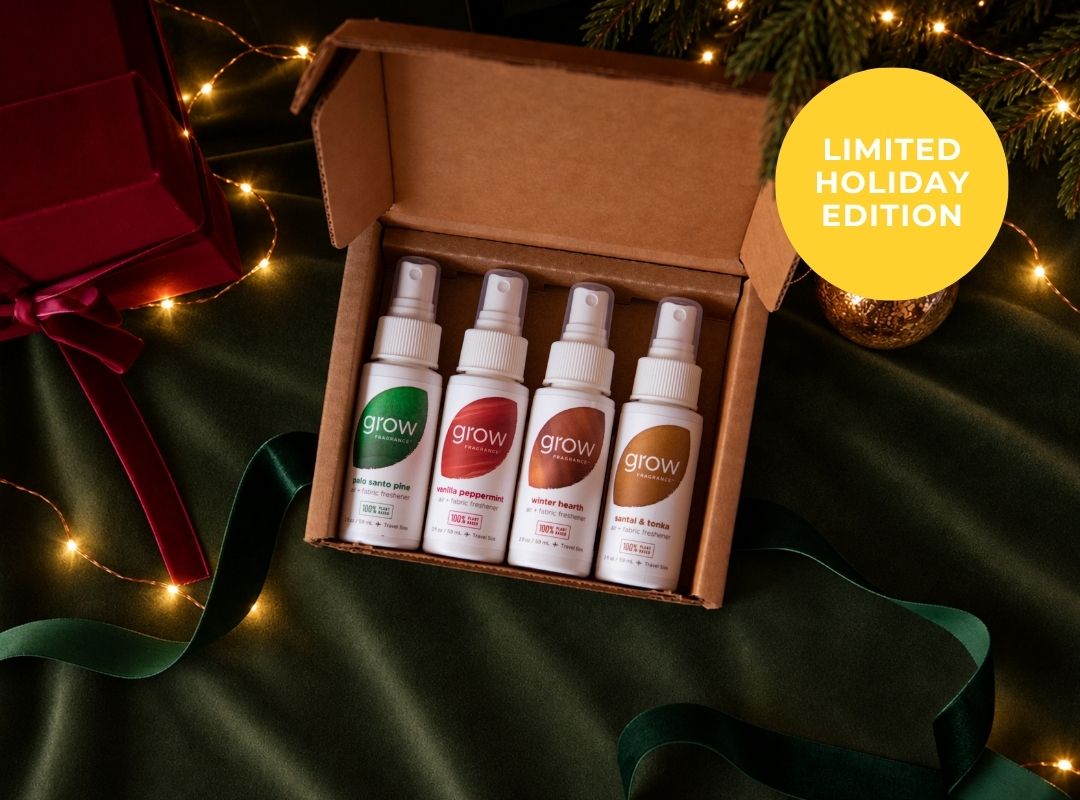 Holiday Discovery Set