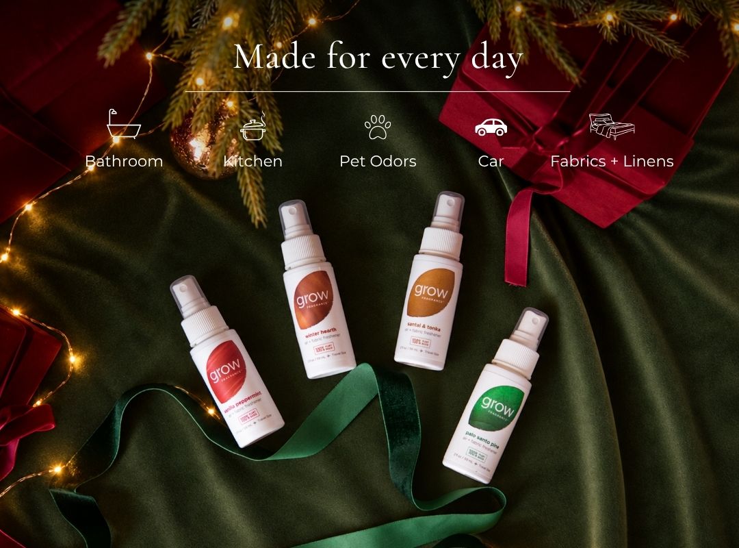 Holiday Discovery Set