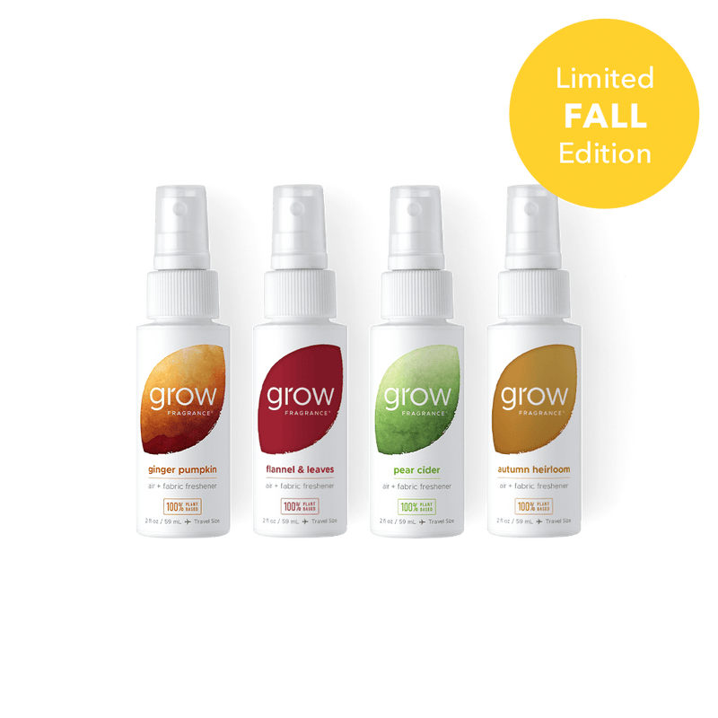 Fall Discovery Set