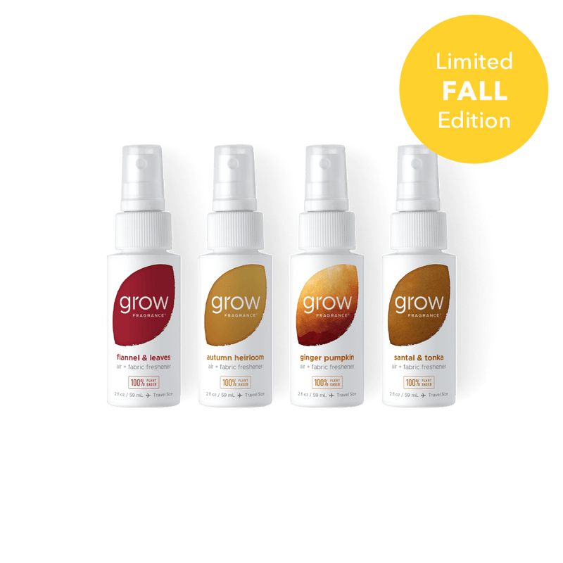 Fall Discovery Set