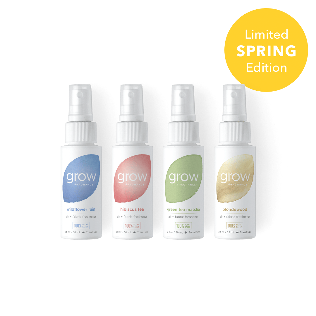 Spring Discovery Set