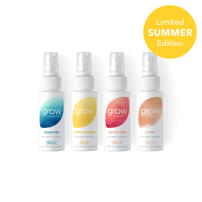 Summer Discovery Set