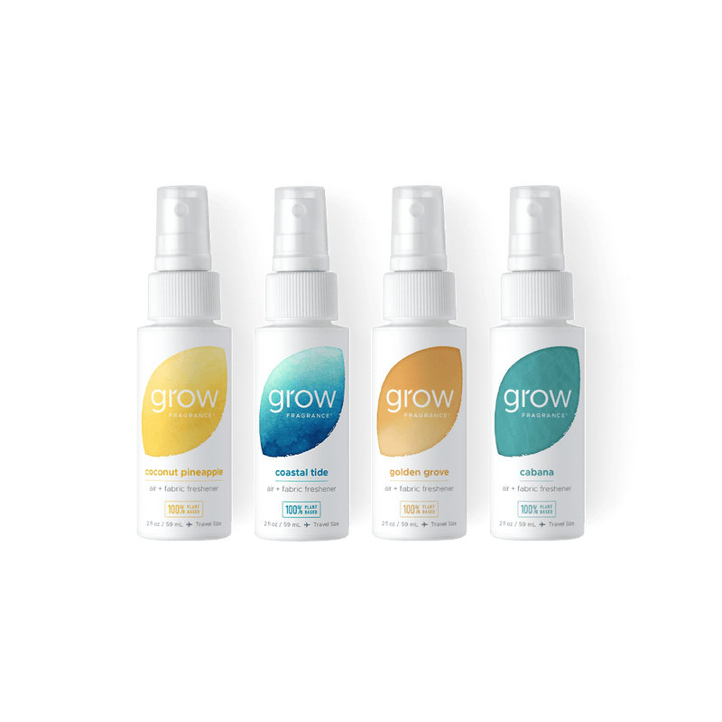 Summer Discovery Set