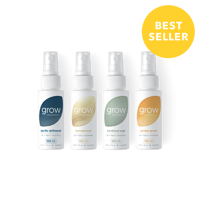 Everyday Favorites Discovery Set