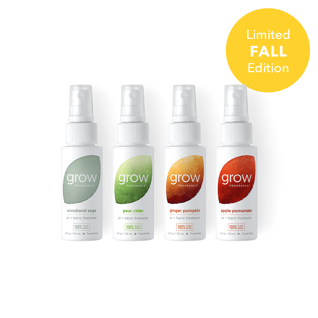 Fall Discovery Set