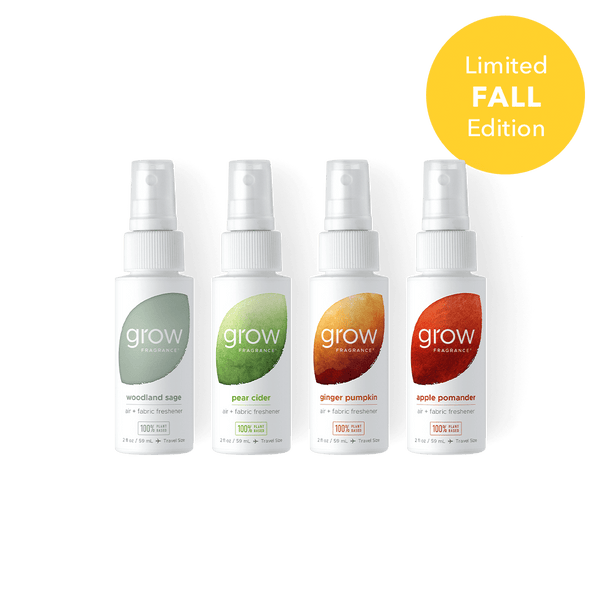 Fall Discovery Set