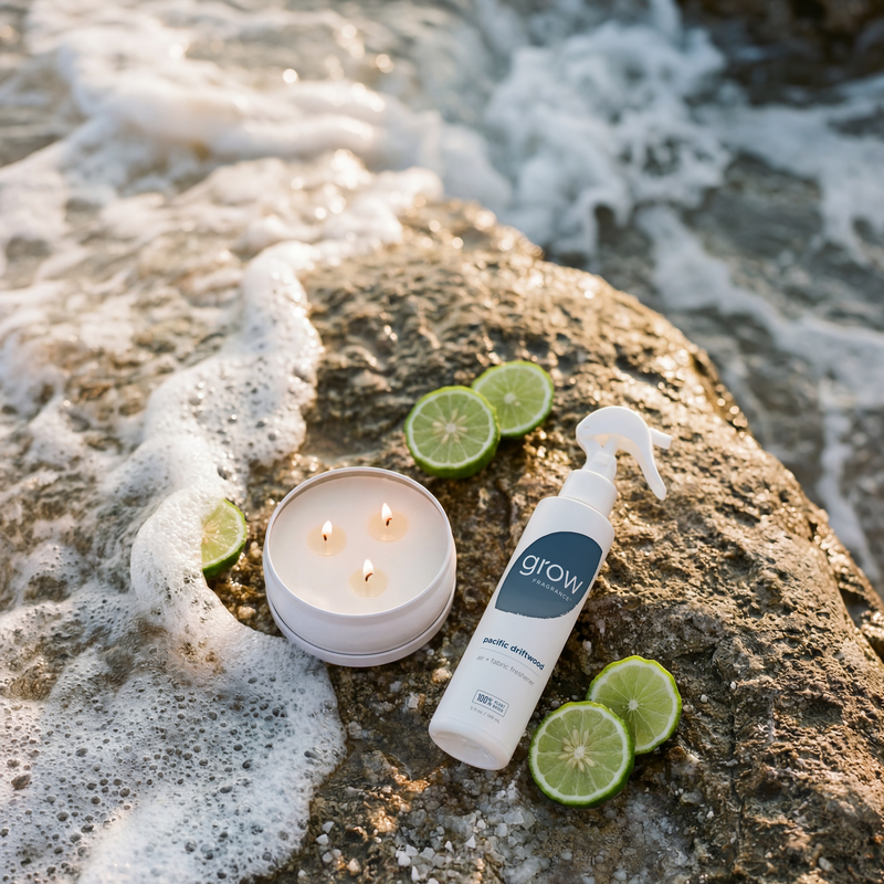 Candle, bottle, and lime slices on a rock with ocean water in the background