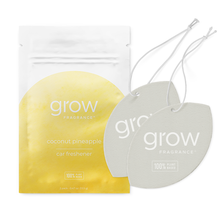 Coconut Pineapple Car Freshener