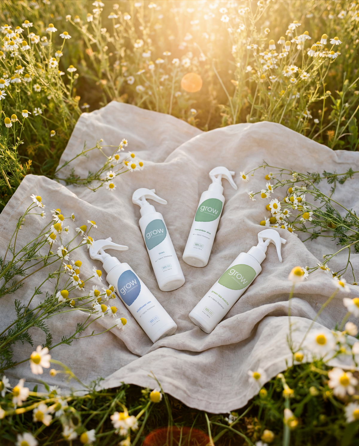 Four scents. Every room. One intentional home.