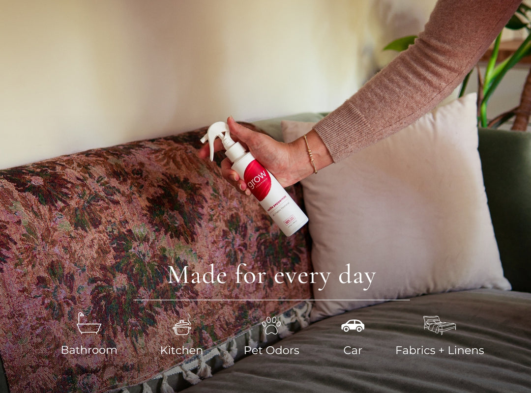 Person using a spray bottle on a fabric surface with text 'Made for every day' and icons below. (featured)