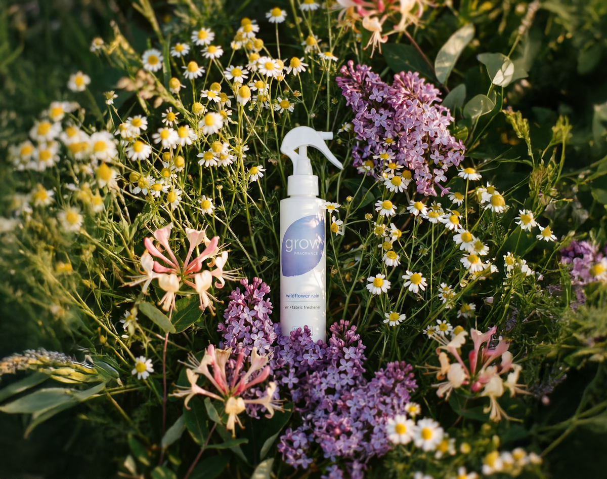 Spring doesn't last. Neither does this.