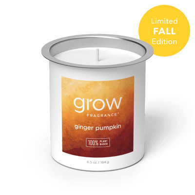 Ginger Pumpkin Candle Fragrance