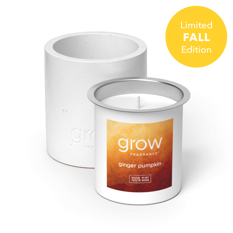 Ginger Pumpkin Candle Set
