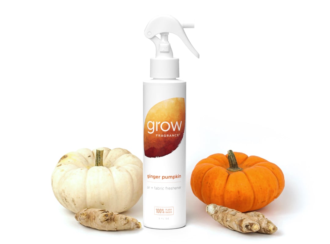 Ginger Pumpkin Air + Fabric Spray (featured)